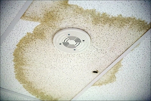 Roof stain is evidence of leaking roof